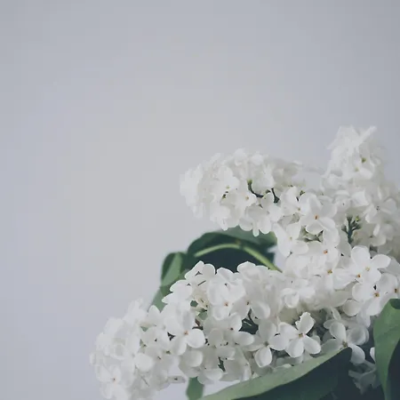 Adel Private Szálloda 4*