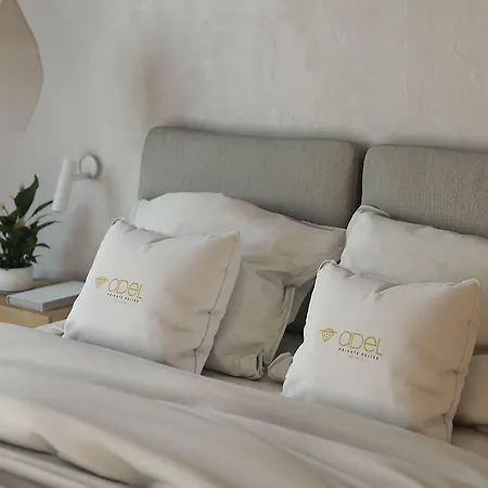 酒店 Adel Private 4*