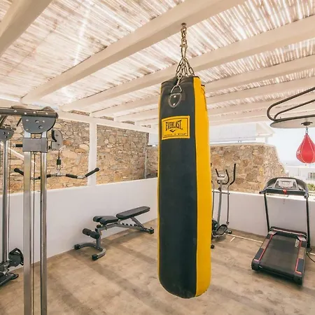 Adel Private 酒店 Mykonos Town