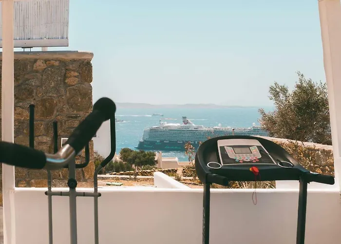 Adel Private 4* Mykonos Town