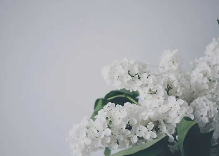 Adel Private Hotell 4*